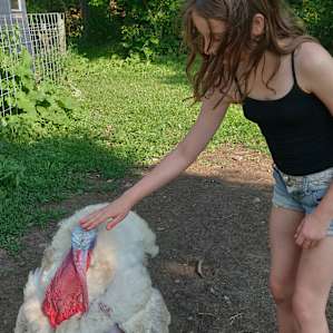 Jefe' is the sweetest turkey!