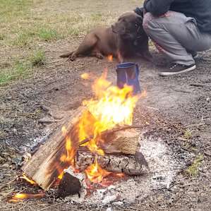 Buck circle campsite