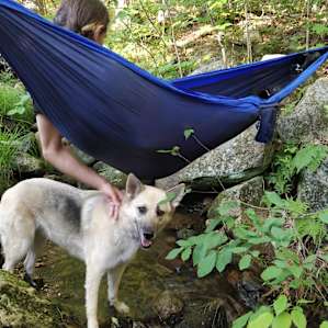 hammocks by the stream