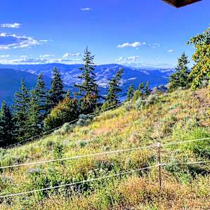 Homestead with a View