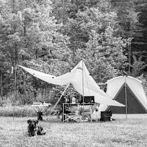 Old Logger Landing - Open Campsite