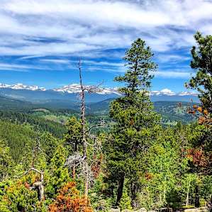 Miners Candle Yurt- Hummingbird Mtn
