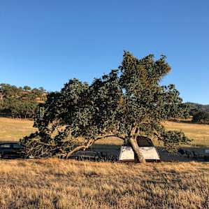 Campsite #3