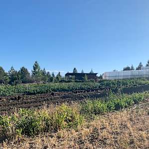 Canvas Cabin at Rainshadow Organics