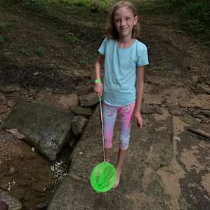 Bug catching fun
