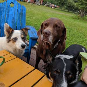 Breakfast company