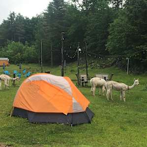Vermont Farm Animal Rescue