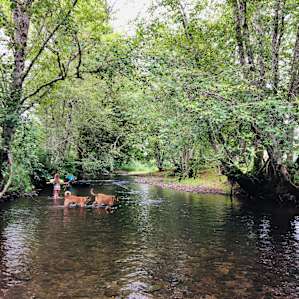 River View RV Retreat