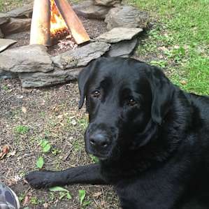 Hurley approves