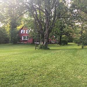 Main House and Yard