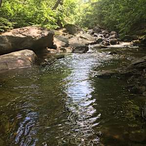 Brook entrance from Katherine’s side yard.