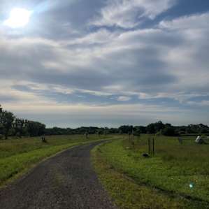 Bare Ass Acres
