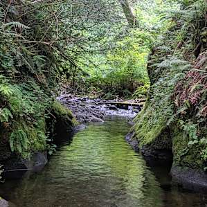 Tenting -In the Heart of Cascadia