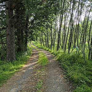 Tenting -In the Heart of Cascadia