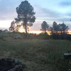 Medicine Man land campsite