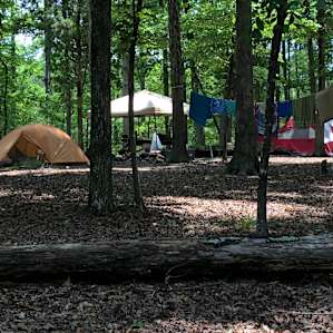 Primitive Campsite 1. Great shade and spacious. Picnic table provided. Set your clock by the birds and don't miss the fire fly show at 9:00 each night.