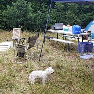 I forgot to mention the 5 gal of spring water from the host! And the wooden chair.