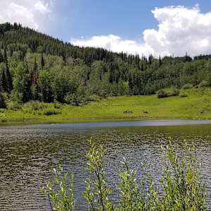 Old Baldy Back-Country Yurt