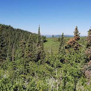 Old Baldy Back-Country Yurt