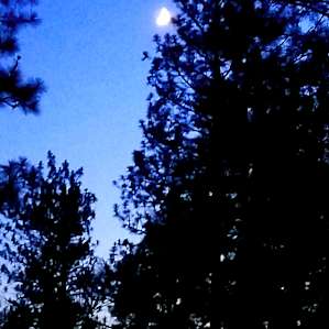 Rustic Tipi Experience