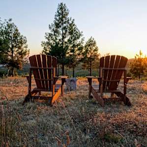 Shady Oak Car Camping (Site 4)