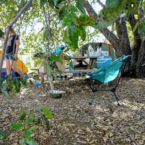 Shady Oak Car Camping (Site 4)