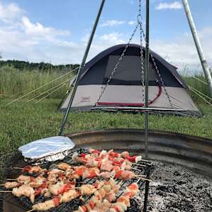 Northern Michigan Farm Camp