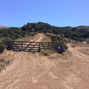 This is the road up the hill past the gate. Careful, big rut in middle