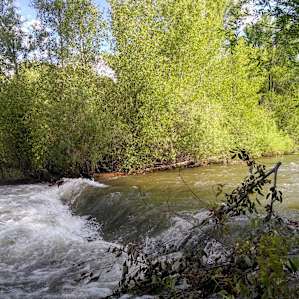 Gunnison River Retreat