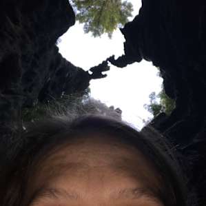 Inside the tree!