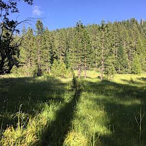 View of Onion Valley from Texas Hill Rd. Campsites are in the pines on the other side of the meadow.