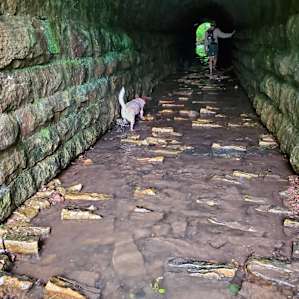 The Tunnel Trail