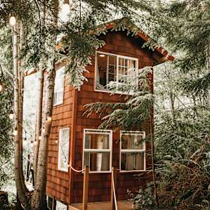 Treehouse Place at Deer Ridge!