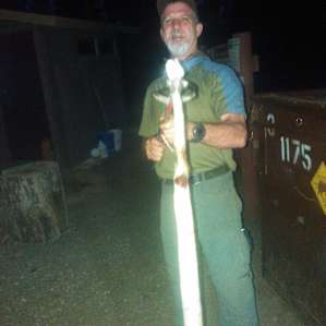 Yep we got rattle snakes