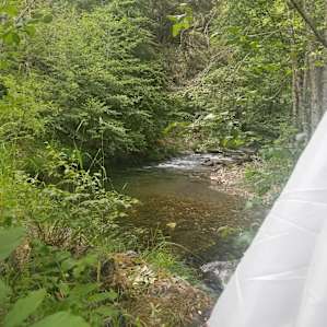 Creekside Camping @ Applegate Haven