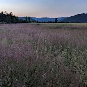 North Idaho get away