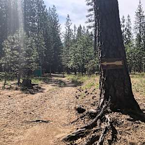 The road leading to the site