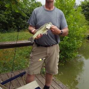 Nice bass out of the pond.