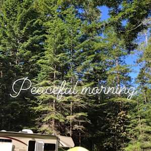 Sleep Tight Under Towering Redwoods