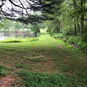 We chose a location away from the pond and walked over throughout our stay. Locations right near it are also lovely. Lots of dragonflies, very few mosquitos.