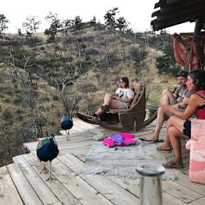 Ravens Landing