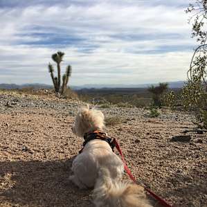 Lake Mead Overlook