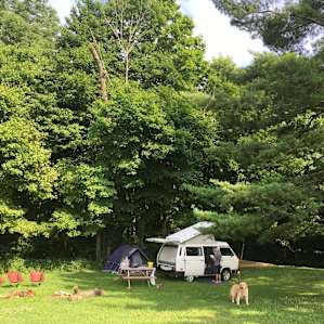 Site #29