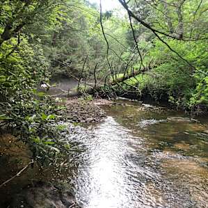 The stream