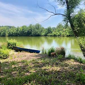 Plenty of space for your Pup to run and swim in.