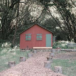 Quiet creekside apple orchard