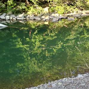Turkey Creek Cove