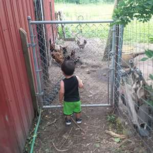 Tent Sites on the Farm