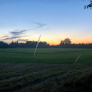 Summer bliss on a farm.