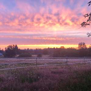 Summer bliss on a farm.